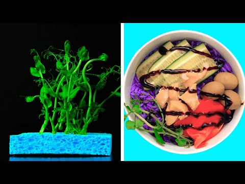 53 EASY FOOD PRESENTATION AND PLATING TECHNIQUES