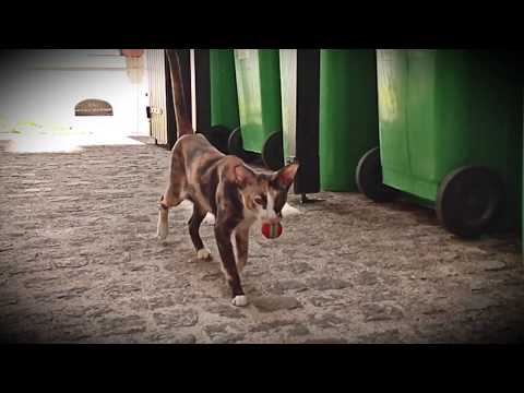 Juanita's Moments #5