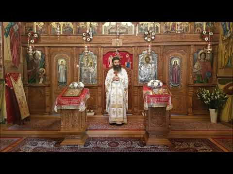 20210117 NICOLAE BALASOIU - DUMINICA CELOR ZECE LEPROSI