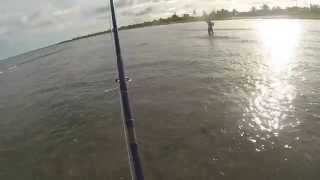 preview picture of video 'Trigger Fly Fishing Mahahual Q.ROO'