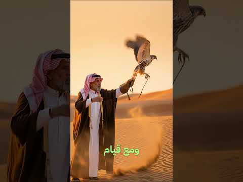 Yemeni Windows Media