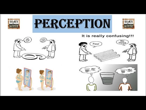 download lagu mp3 mp4 Perception In Hindi, download lagu Perception In Hindi gratis, unduh video klip Perception In Hindi