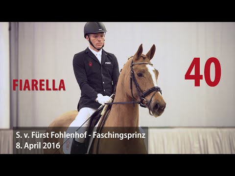 40 Fiarella Stute v. Fürst Fohlenhof -  Faschingsprinz