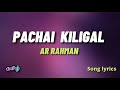 Pachai Kiligal Tholodu Indian AR Rahman Song Lyrics In Tamil