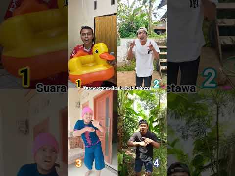 Kompilasi || Suara ayam vs suara bebek