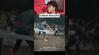 Download lagu Carok Madura #culture #Madura mp3 Download lagu Carok Madura #culture #Madura mp3