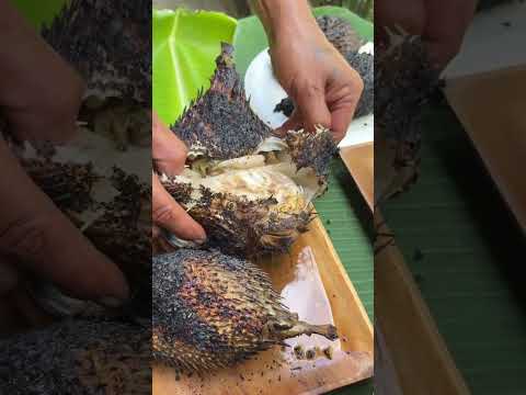 EPIC Catch & Cook: Grilling 4 FRESH Fish Over Open Fire! 🐟🔥 (From River to Plate!)