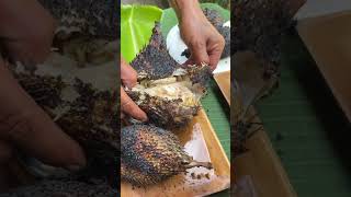 Download lagu Aksi Tangkap & Masak yang Luar Biasa: Memanggang 4 Ikan Segar di Atas Api Unggun! 🐟🔥 (Dari Sungai ke Piring!) mp3