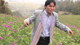 PRINCIPE DE LOS ANDES - Vasito de licor amargo  CONTRATOS (985367730-993405355-5833226)