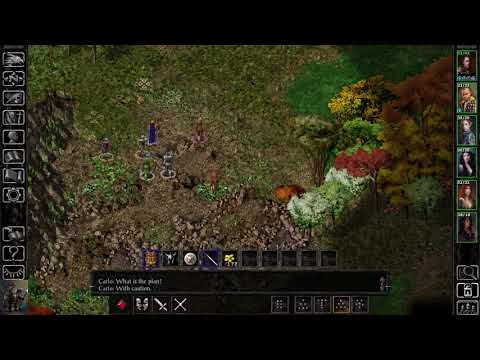 Baldur's Gate (EE) Ep. 14: Fire Leaf Forest & Dryad Falls - Introducing Larry, Darryl, and Darryl