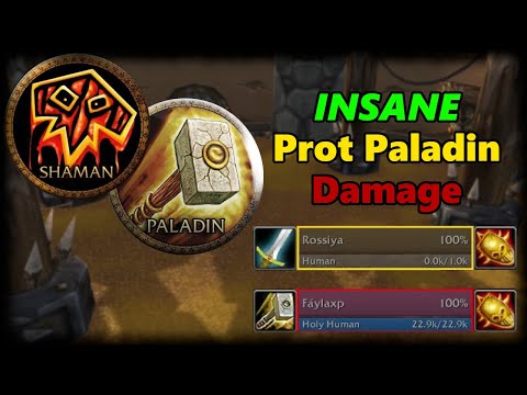 Crazy Prot Paladin Damage vs War Pal