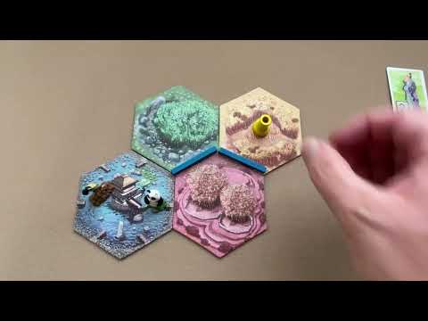 How To Setup and Play Takenoko
