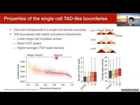 Multiscale and integrative single-cell Hi-C analysis
