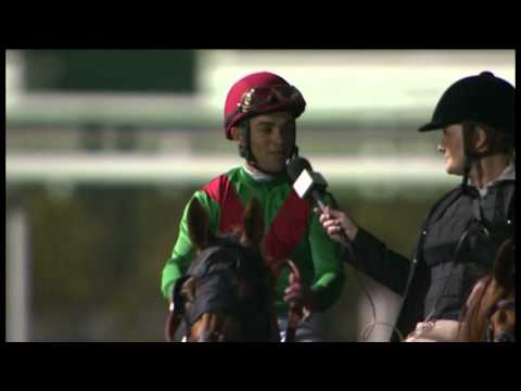 30.03.2013 Meydan (Dubai-UAE) 9.Race Dubai World Cup 2013 - Group I  2.000 m