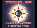 charly lownoise & mental theo - wonderful days ...