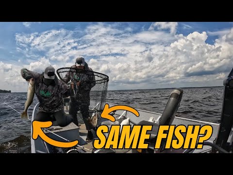 I Caught the Same Fish TWICE: Hitch Mount, Grease Gun and Mini Grease Gun Kit segment