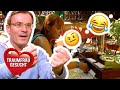 Walther Erklärt Wie Mann Es Richtig Macht Denn Besonders Muss Es Sein Traumfrau Gesucht