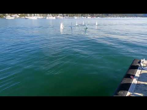 DF65 RPAYC 11 7 24 Fleet B Race 1