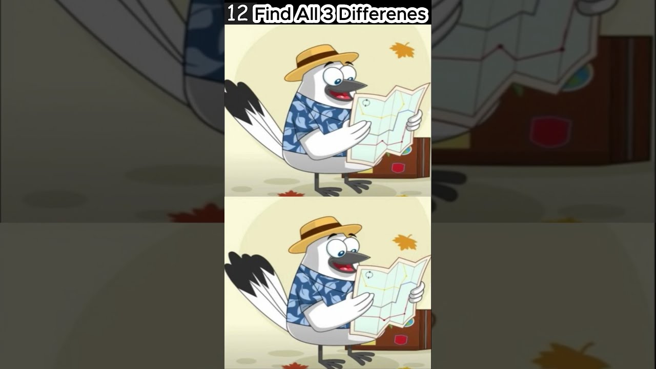 ⏱ 25sec Impossible  Spot 3 Differences #0023