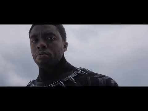 'The Living Are Not Done With You Yet' T'Challa and Helmut Zemo - Captain America- Civil War (2016)