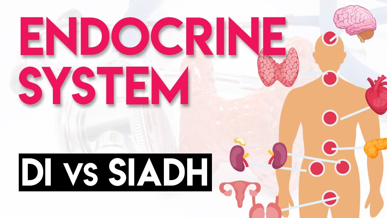 DI vs SIADH | Endocrine System (Part 5)
