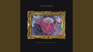 The Light Pours out of Me