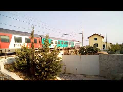 Treno Thello in transito.