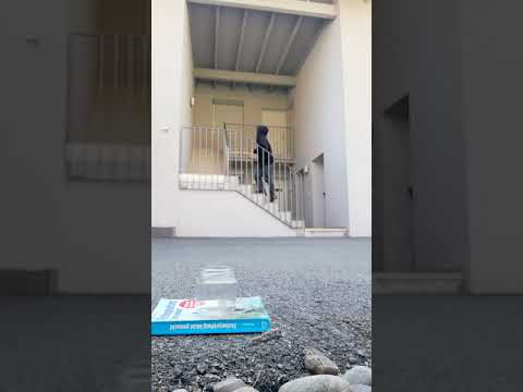 Baitcaster Trickshot