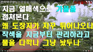 사과 6월 중순에 드리는 말씀