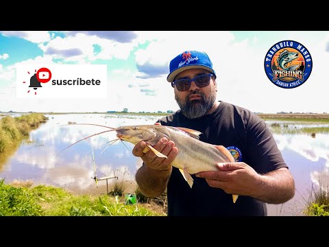 Pesca en Teodelina un arroyo ,afluente de la Picasa - Primera parte .