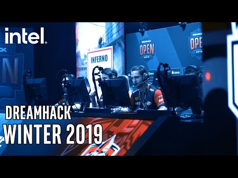 DreamHack Winter 2019: Celebrating 25 years of DreamHack | Intel Gaming