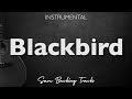 Blackbird - Beatles [Raul Midon Version] (Acoustic Instrumental)