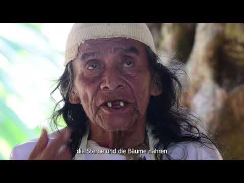 Ramon Gil Message | deutsch