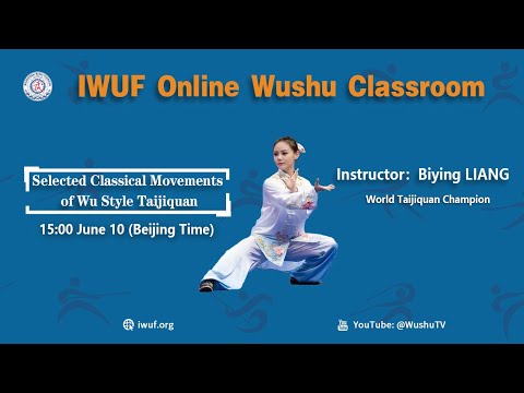 17. Selected Classical Movements of Wu Style Taijiquan