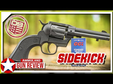Diamondback Sidekick Range Review - TheFirearmGuy