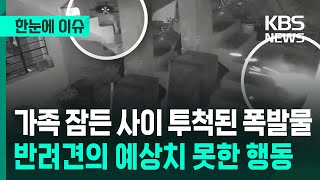 가족 잠든 사이 투척된 폭발물...반려견의 예상치 못한 행동