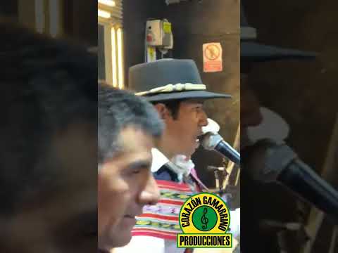 SASAWYS DEL ANDE GRAU APURIMAC 