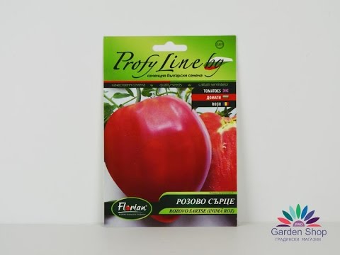 The newest variety of tomatoes from Plovdiv and Bulgaria - Pink heart F1