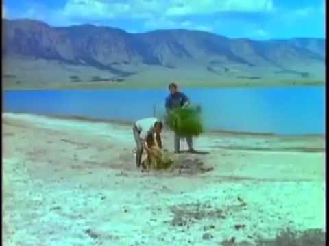 Comment capturer un faucon