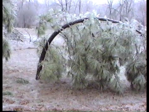 Ice Storm of February 1994, Northwest Mississippi/Memphis area, VHS video #weather #ice  #winter