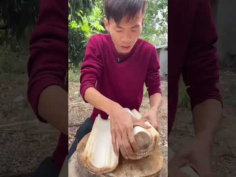 Taste the Heartland: Discover Local Delicacies in My Hometown