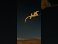 FLIGHT OF THE PTERODACTYL #dinosaur #pterodactyl #toy #actionfigures