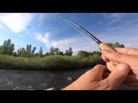 Fly Fishing the Roaring Fork River