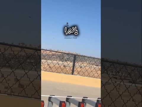 Munajat Bibi Fatima (s.a) | Ya Zahra Ya Zahra (s.a) | Nohay | Ayyam e Fatima |#shortsvideo