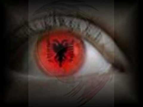 Po dridhet veni kur M b  po vin ktu