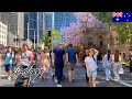 Sydney Spring Walk CBD Pitt Street Market Street 4K 60fps