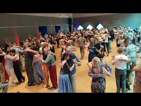 Regensburg, Germany. Aurelium 2025. Friday Afternoon Milonga. DJ Anthony Cronin #tango #encuentro