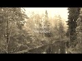 grouper - disengaged