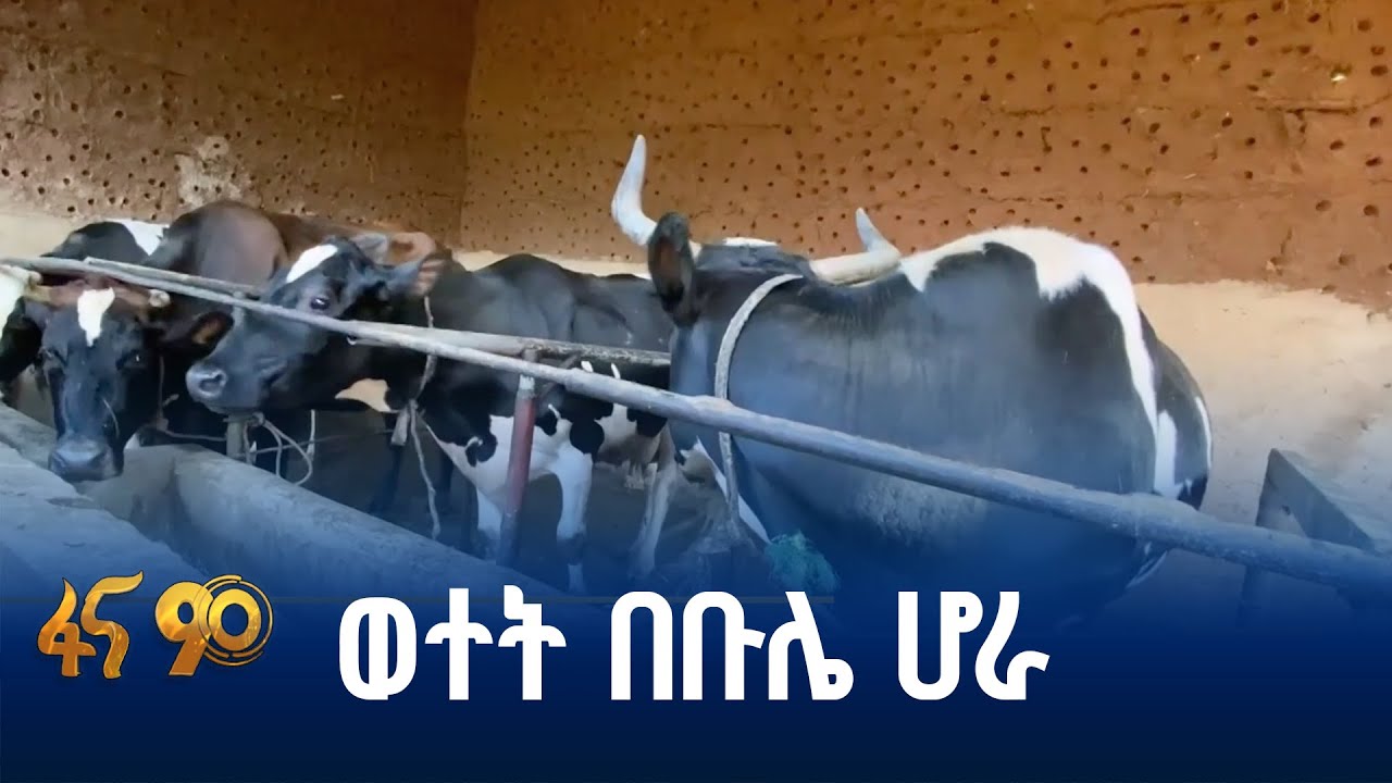 የምዕራብ ጉጂ ዞን ወጣቶች ምን እየሰሩ ነው?