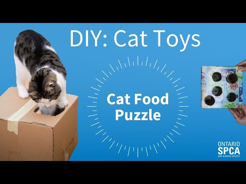 DIY Cat Food Puzzle